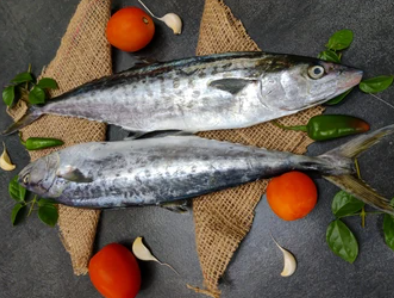 King Fish (Vanjaram) Frozen Boneless – Skinless Clean Cuts – 1kg