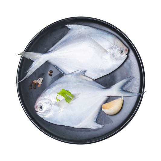 Frozen White Pomfret for Fry, Grill & Curry – Cleaned & Ready  – 1kg